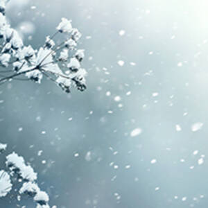 Tempo Frio – Medidas Preventivas