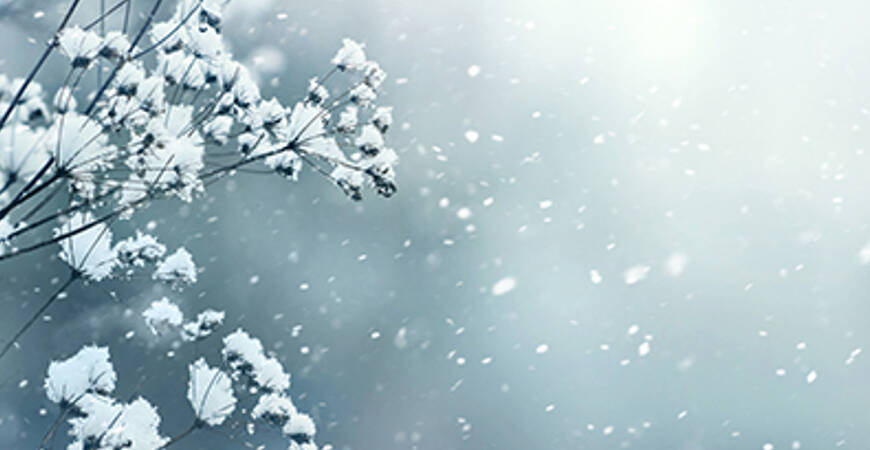 Tempo Frio – Medidas Preventivas